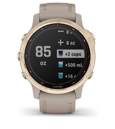 Przewaga Garmin Fenix 6S Solar Srebrny z czarnym paskiem [010-02409-00]